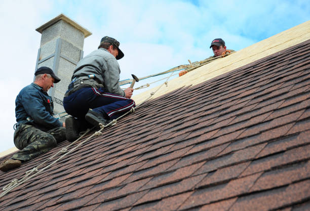 Quick and Trustworthy Emergency Roof Repair Services in Los Alamos, CA
